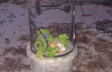 Avocado house - Photo 9