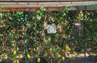 Urban Home - Foto 12