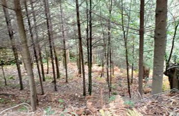 Casa da Viña - Ribeira Sacra - Foto 31