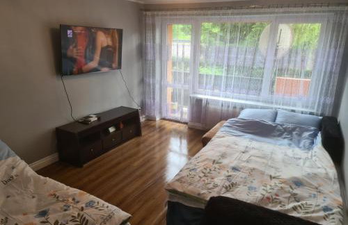 Apartament Mieszkanie do wynajęcia Olivka - Foto 7