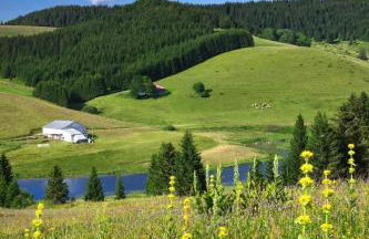 Le p'tit Saint-Pierre - Centre ville - Parking - Foto 35