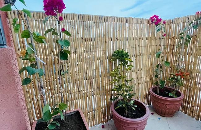 Beautiful Studio in the Heart of Casablanca - Photo 8