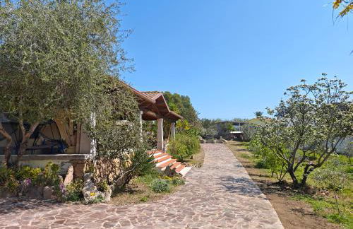 Al mare a Capo Comino - Foto 68