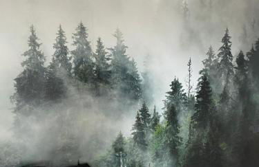 Haus Sengbach im Bergischen Land mit 2 Schlafzimmern - Foto 7