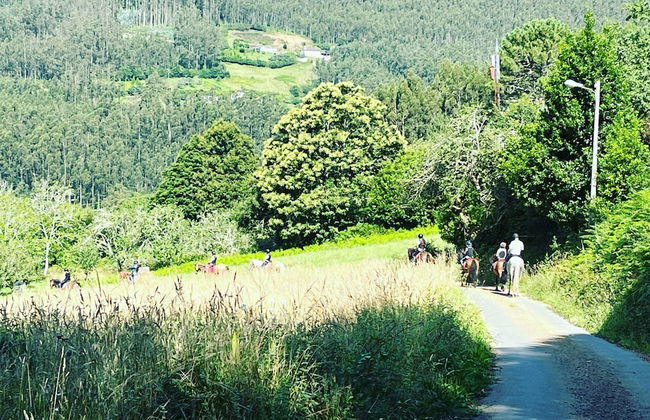 Casa Rural O Vilar - Photo 60