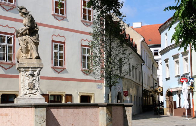 Central Apartmany Biela street - Foto 30