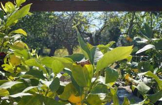 Trulli d'Estia - casa vacanze - Foto 41