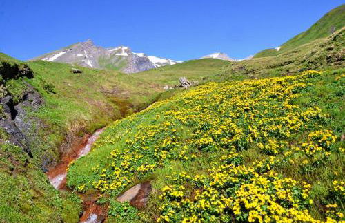 Chalet Lè Lodzé - Pieds des pistes - Foto 51