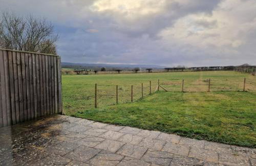 The Homestead - Photo 31