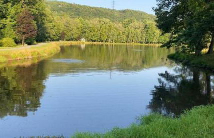 Serenity Falls - Stylish 4Bdr Mountain Retreat, Hot Tub, Pool - Foto 62