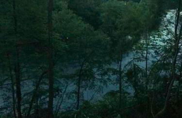 Rare River Views & Access, Cabin by Eden Islands - Foto 47