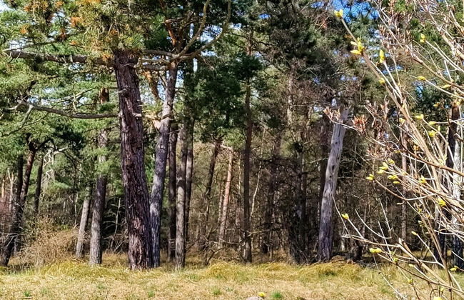 6 Person Holiday Home in Hojby-by Traum - Foto 4