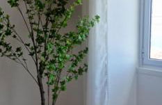 Pura Vida - Photo 18