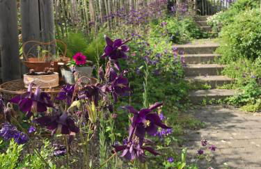 Hanni und Nanni - Foto 14