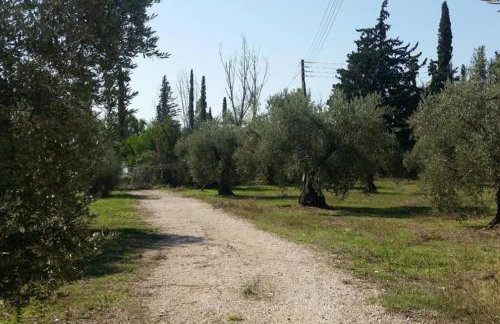 Villa Laguna -house by the beach - Foto 47