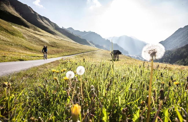 Retreat in Samnaun Alps - Foto 36