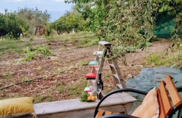 Villa Calcasacco - Foto 15