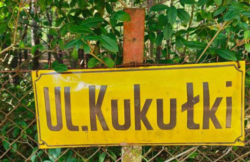 Kamińsko 544 - Foto 59