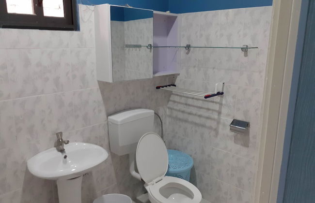 Max Garden and Pool - Photo 44