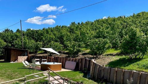 Cà d'Rita Monferrato - Barbera idromassaggio e piscina esterni - Foto 2