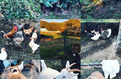 Make It Happen Farm - Photo 28