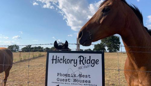 Hickory Ridge Hideaway Cabin - Romantic, Peaceful - Foto 4