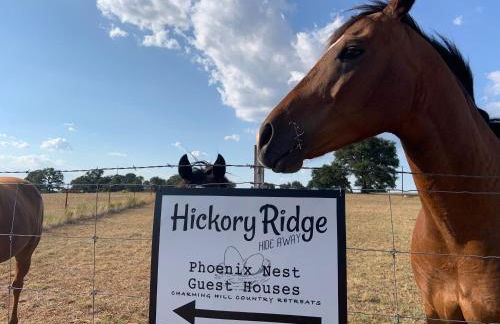 Hickory Ridge Hideaway Cabin - Romantic, Peaceful - Photo 4