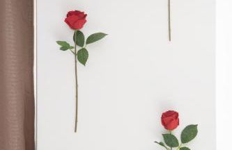 L'enchantée, 6 people, 15 min Disneyland Paris, BBQ - Foto 76