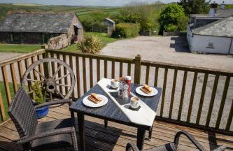 Treworgie Barton - Butterwell - Foto 33