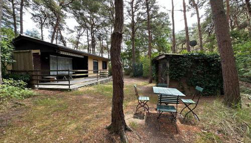 Strandperle - Foto 3