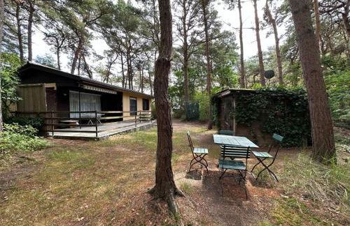 Strandperle - Foto 3