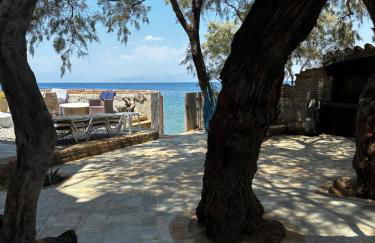 APIJA Studio - Foto 1