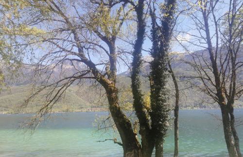 Charmant appartement à 1 minute du lac - Foto 34