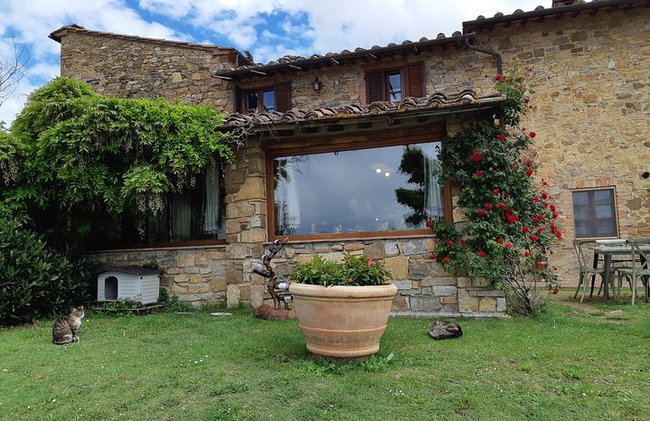 "Recorre las onduladas colinas de Chianti" con almuerzo y degustaciones de vino - Foto 13