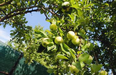 Apartament Loft na Kaszubach - Laskowa Góra Bieszkowice - Foto 16