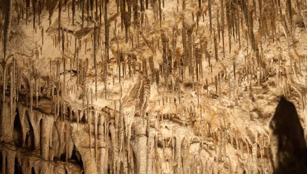 Excursión a las cuevas del Drach y Hams + Porto Cristo - Foto 2