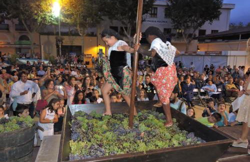 Costa Maresme Barcelona , Relax & Pool - Foto 53