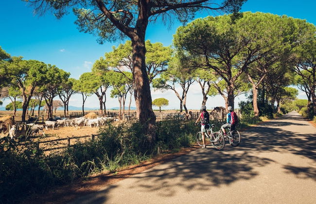 Poggiolivi Agriturismo Bio in Maremma - Photo 18