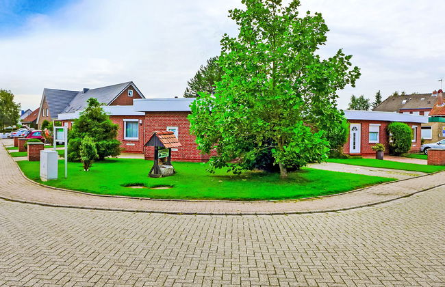 Mondmuschel - Foto 14