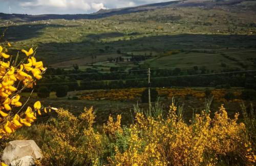 19th Centry Farmhouse Getaway - Sleep 12-14 W/pool - Foto 101