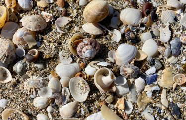 Studio cosy avec coin jardin - Foto 19