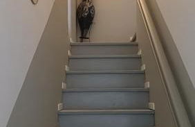 Cassiopée avec jardin - Photo 1