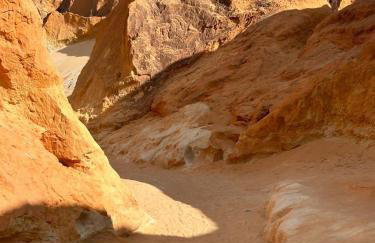 Apto com Ar com vista para praia de Morro Branco - Fortaleza - Photo 1
