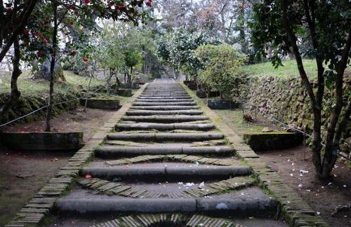 La Terrazza sul Corso - Foto 57