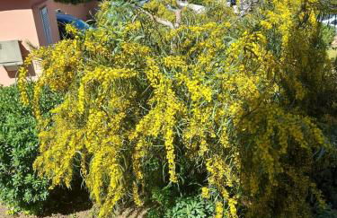 Joli T2 à Giens - Foto 51