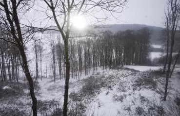 Haus Waldblick - Foto 13