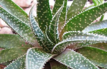 Villa Nada - Foto 31