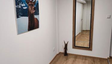 Ferienwohnung RESL - geschmackvoll renoviert & zentral im historischen Schindelhaus - Foto 3