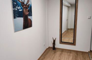 Ferienwohnung RESL - geschmackvoll renoviert & zentral im historischen Schindelhaus - Foto 3