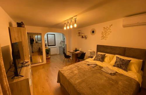 Studio Apartment Lacus - Foto 17